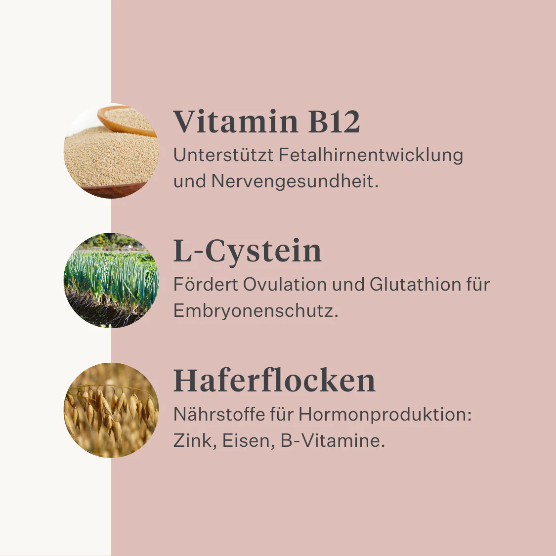 Fresh & Fertile Supplement - Image 34