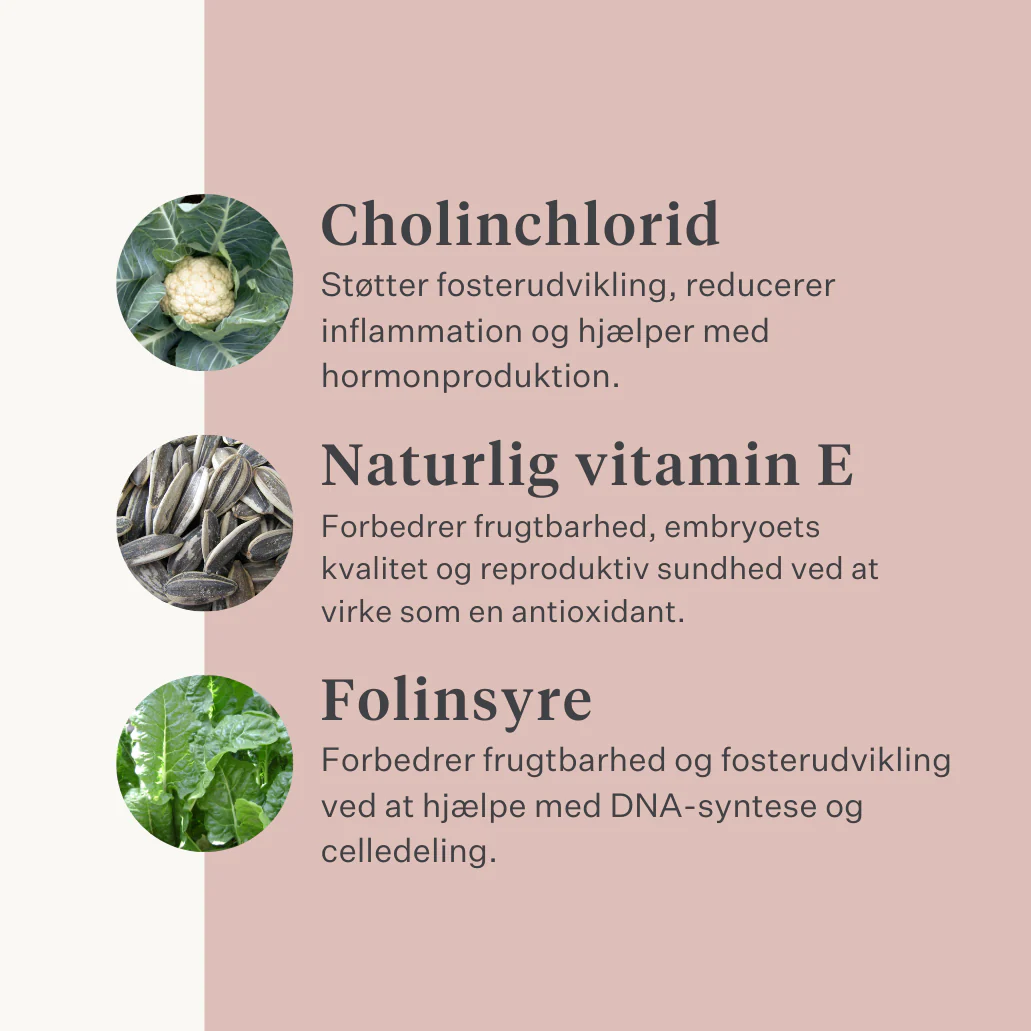 Fresh & Fertile Supplement - Image 42