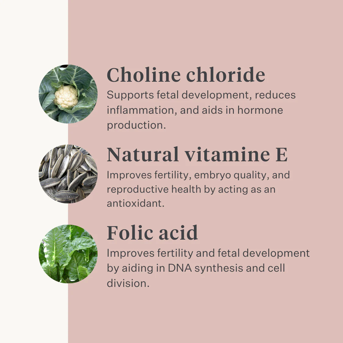 Fresh & Fertile Supplement - Image 6