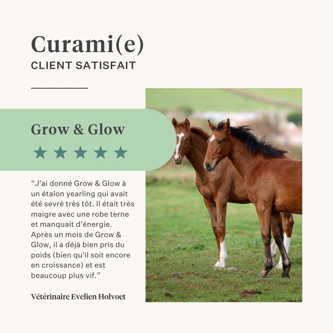 Grow & Glow Oil Liquid Supplement - Image 30