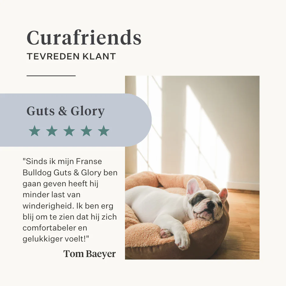 Guts & Glory Supplement - Image 14