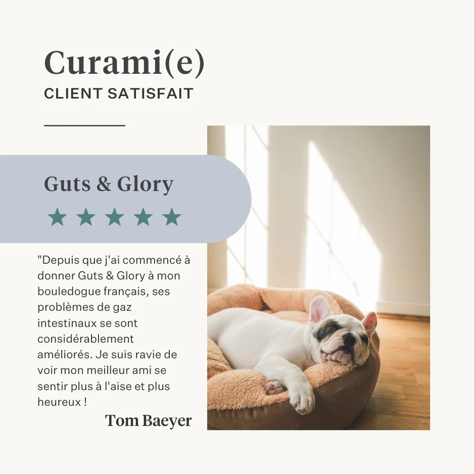 Guts & Glory Supplement - Image 21