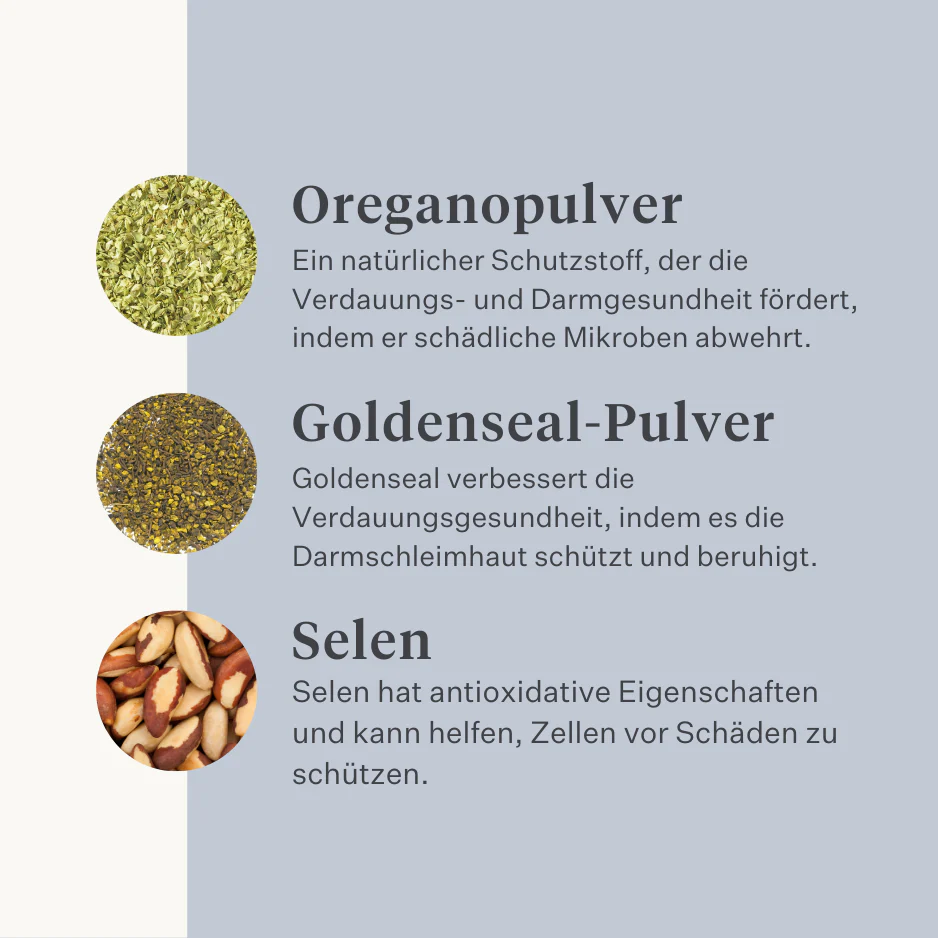 Guts & Glory Supplement - Image 26