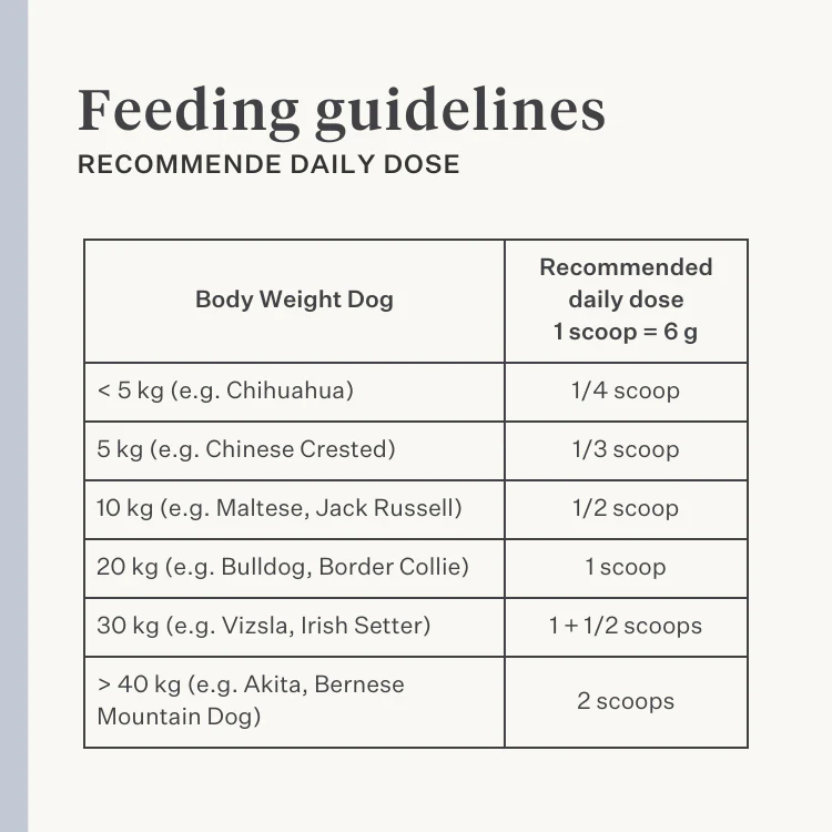Guts & Glory Supplement - Image 3
