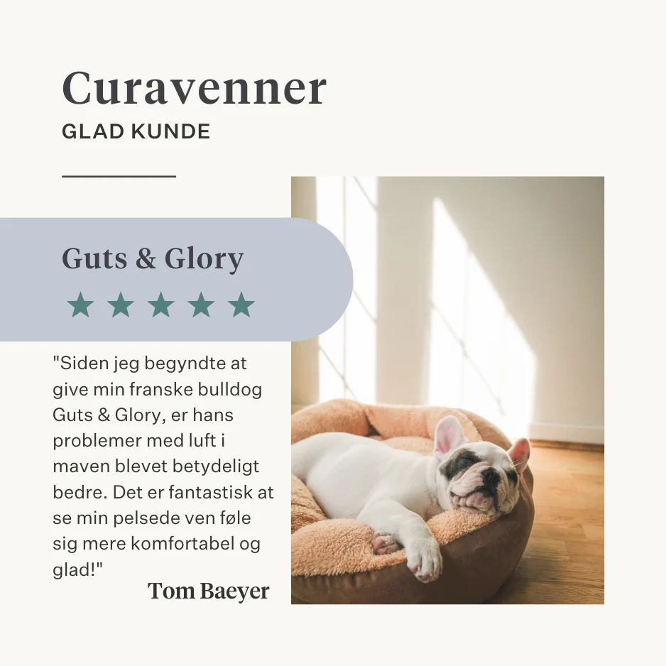 Guts & Glory Supplement - Image 35