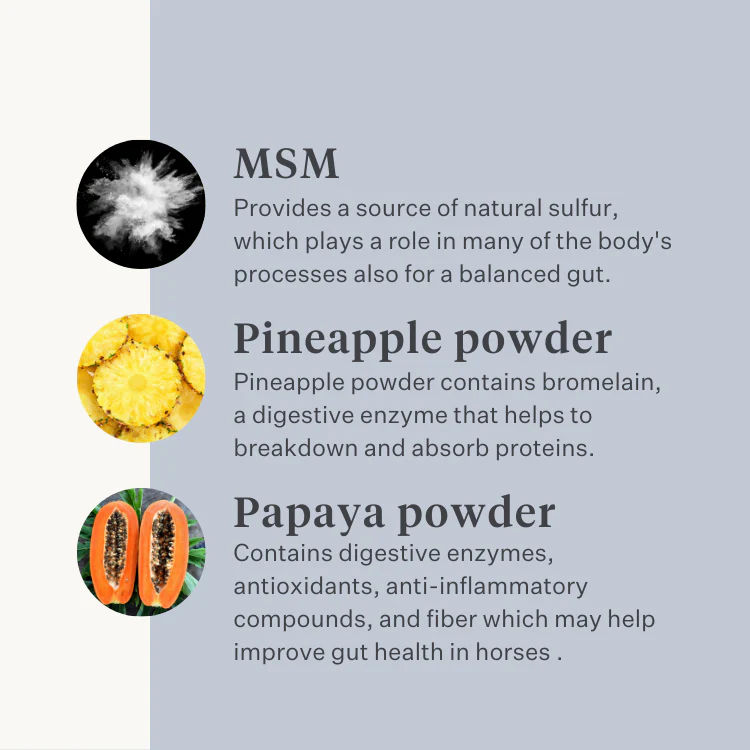 Guts & Glory Supplement - Image 6