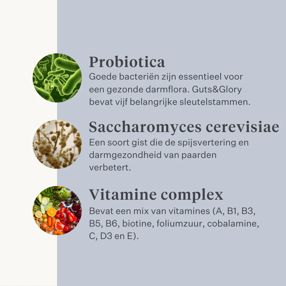 Guts & Glory Supplement - Image 15