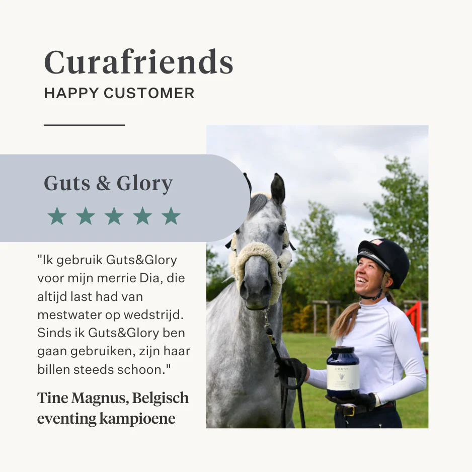 Guts & Glory Supplement - Image 21