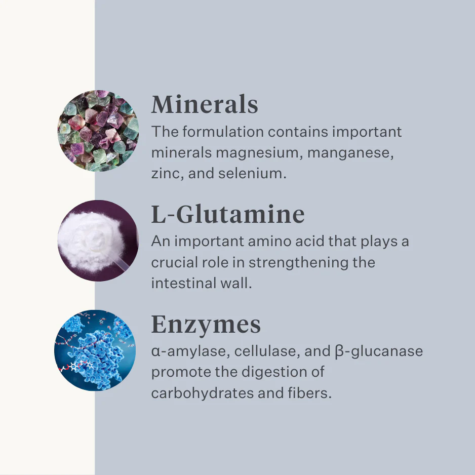 Guts & Glory Supplement - Image 5