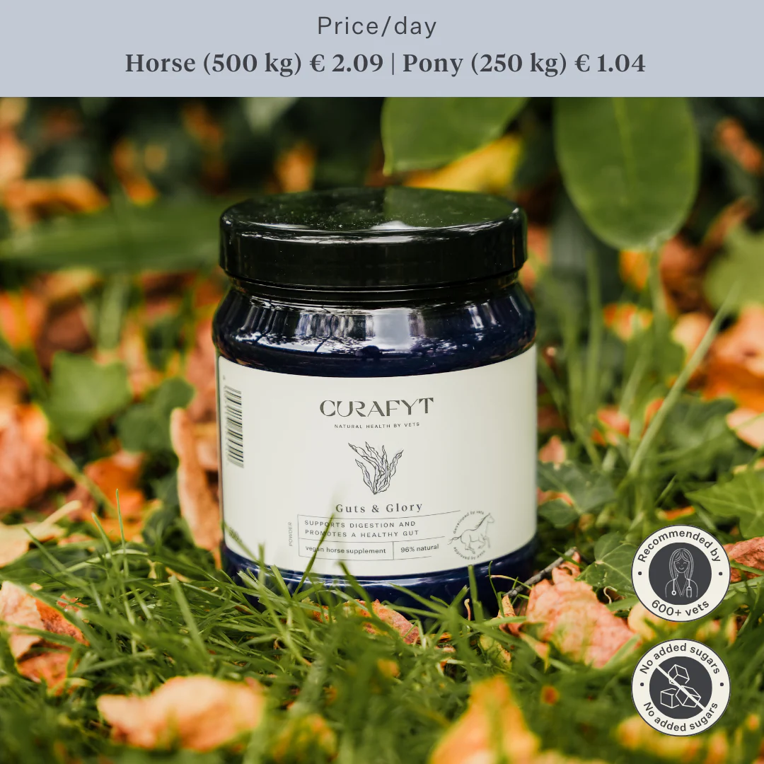 Guts & Glory Supplement - Image 56