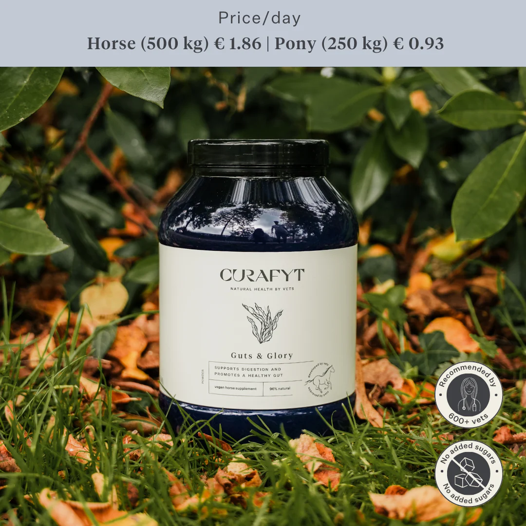 Guts & Glory Supplement - Image 57