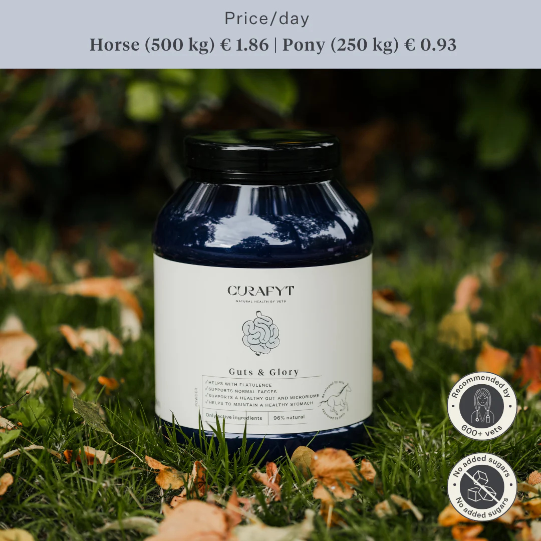 Guts & Glory Supplement - Image 59