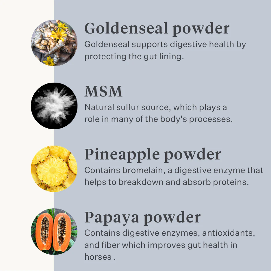 Guts & Glory Supplement - Image 7