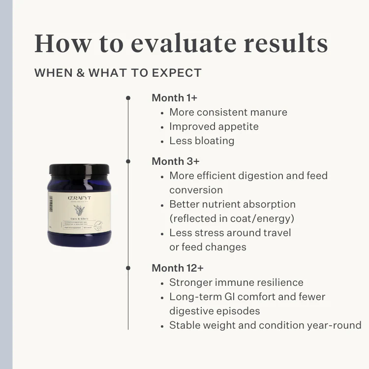 Guts & Glory Supplement - Image 8