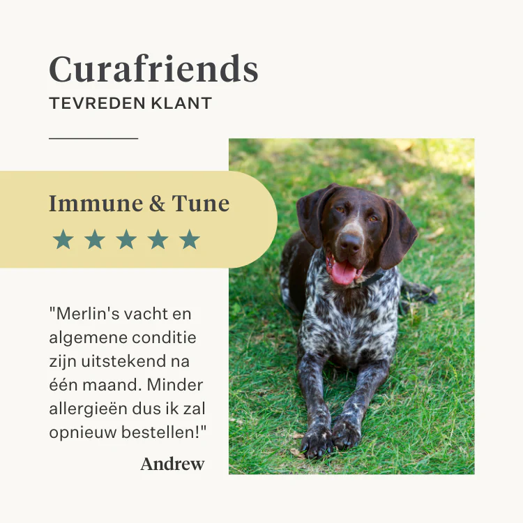 Immune & Tune Supplement - Image 16