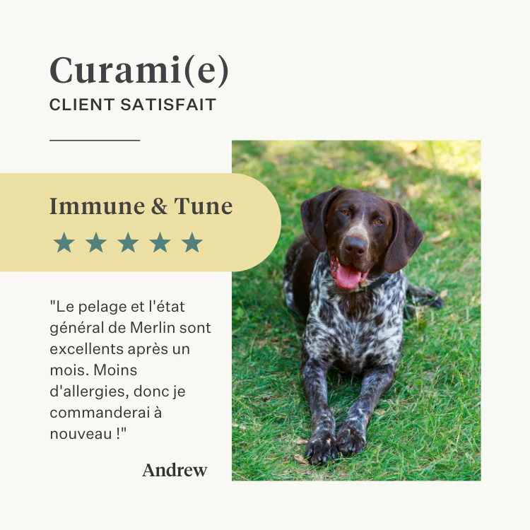 Immune & Tune Supplement - Image 24