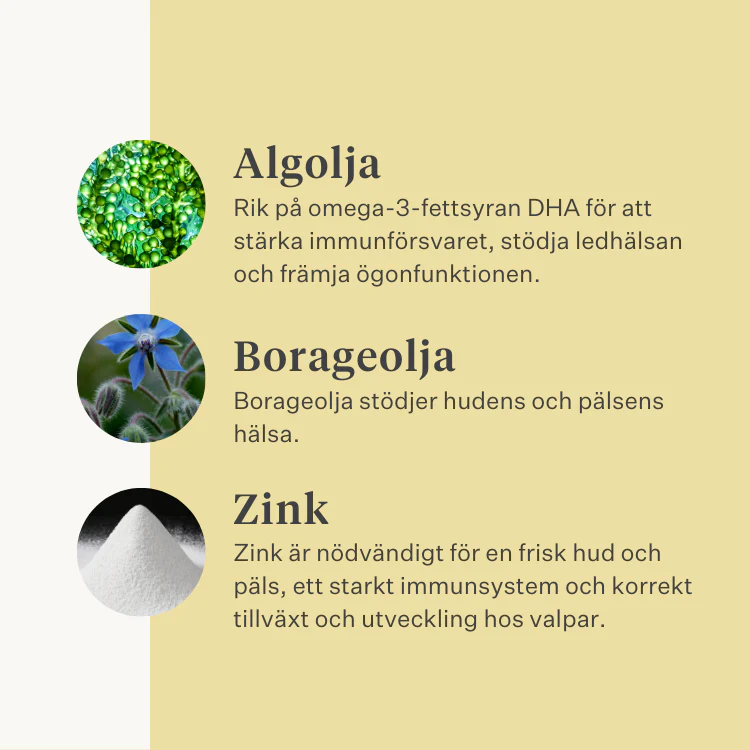 Immune & Tune Supplement - Image 28