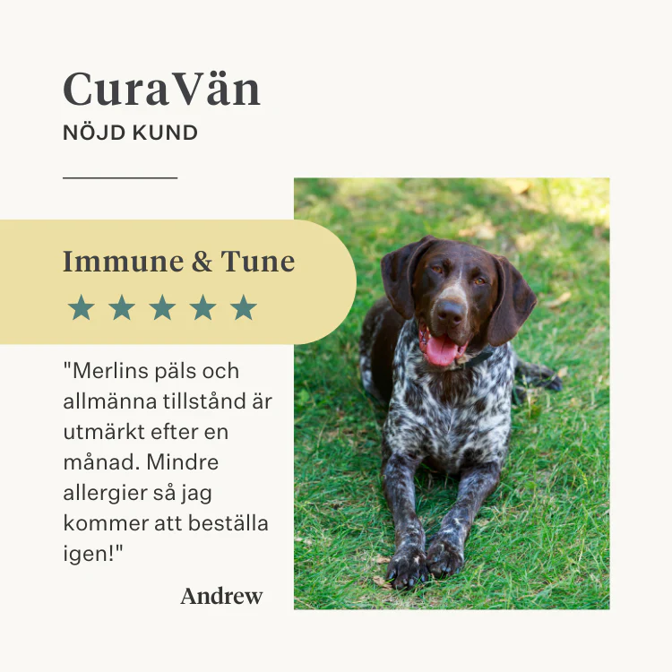 Immune & Tune Supplement - Image 32