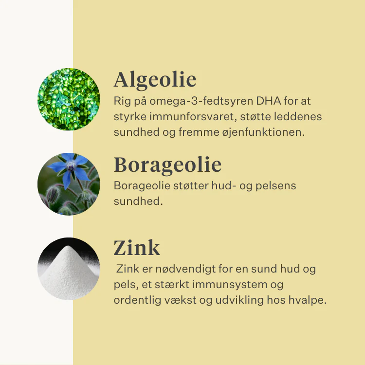 Immune & Tune Supplement - Image 36