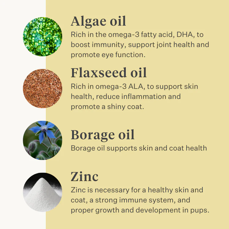 Immune & Tune Supplement - Image 4