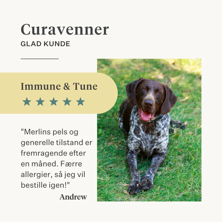 Immune & Tune Supplement - Image 40
