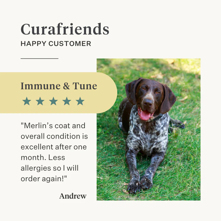 Immune & Tune Supplement - Image 8