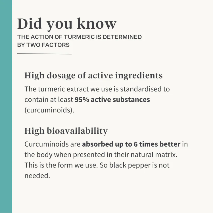 Restore & Revive Supplement - Image 5