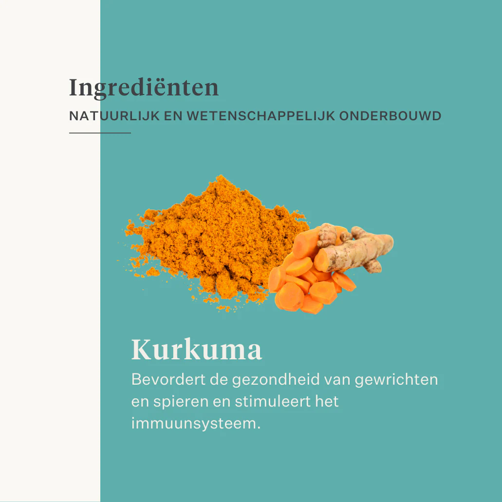 Restore & Revive | Curcumin Liquid Supplement - Image 12