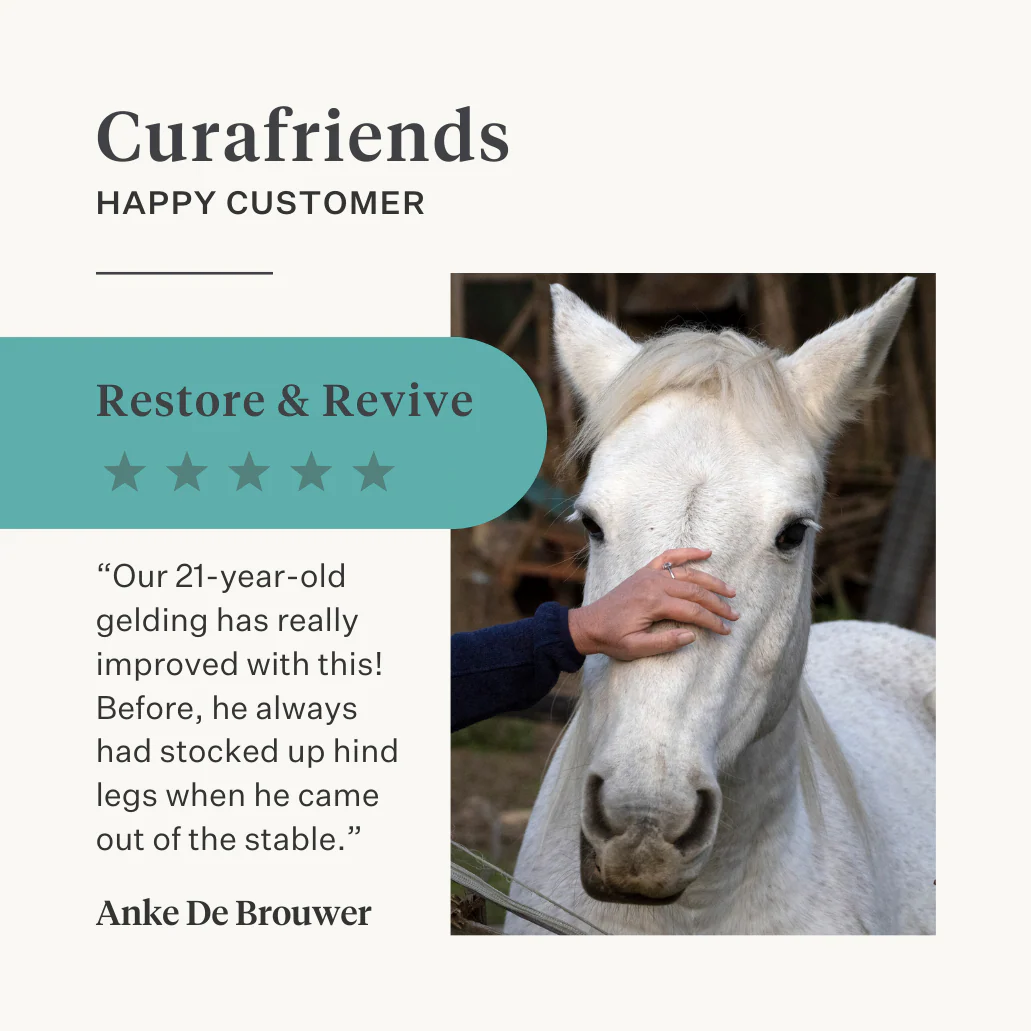 Restore & Revive | Curcumin Liquid Supplement - Image 16