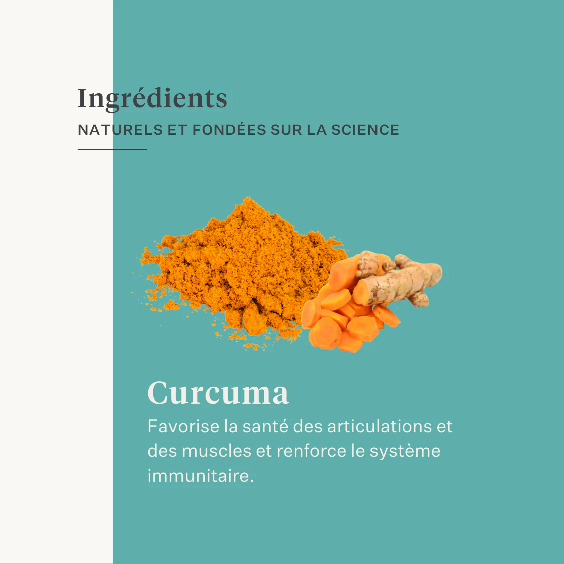 Restore & Revive | Curcumin Liquid Supplement - Image 20