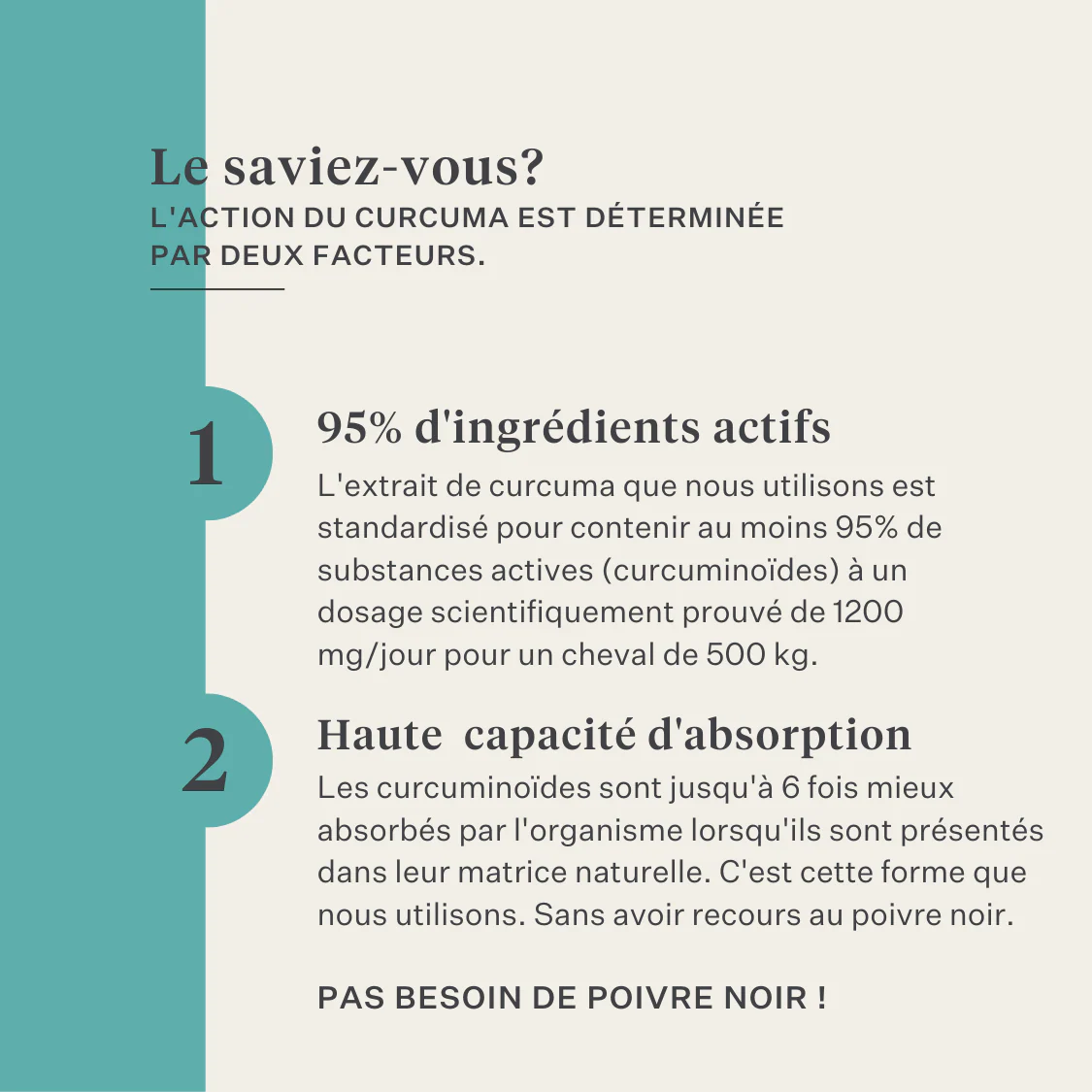Restore & Revive | Curcumin Liquid Supplement - Image 21