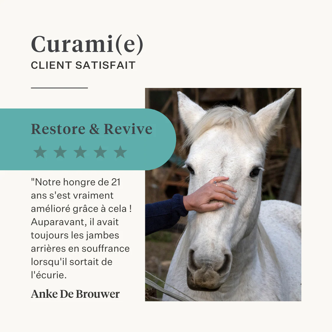 Restore & Revive | Curcumin Liquid Supplement - Image 24