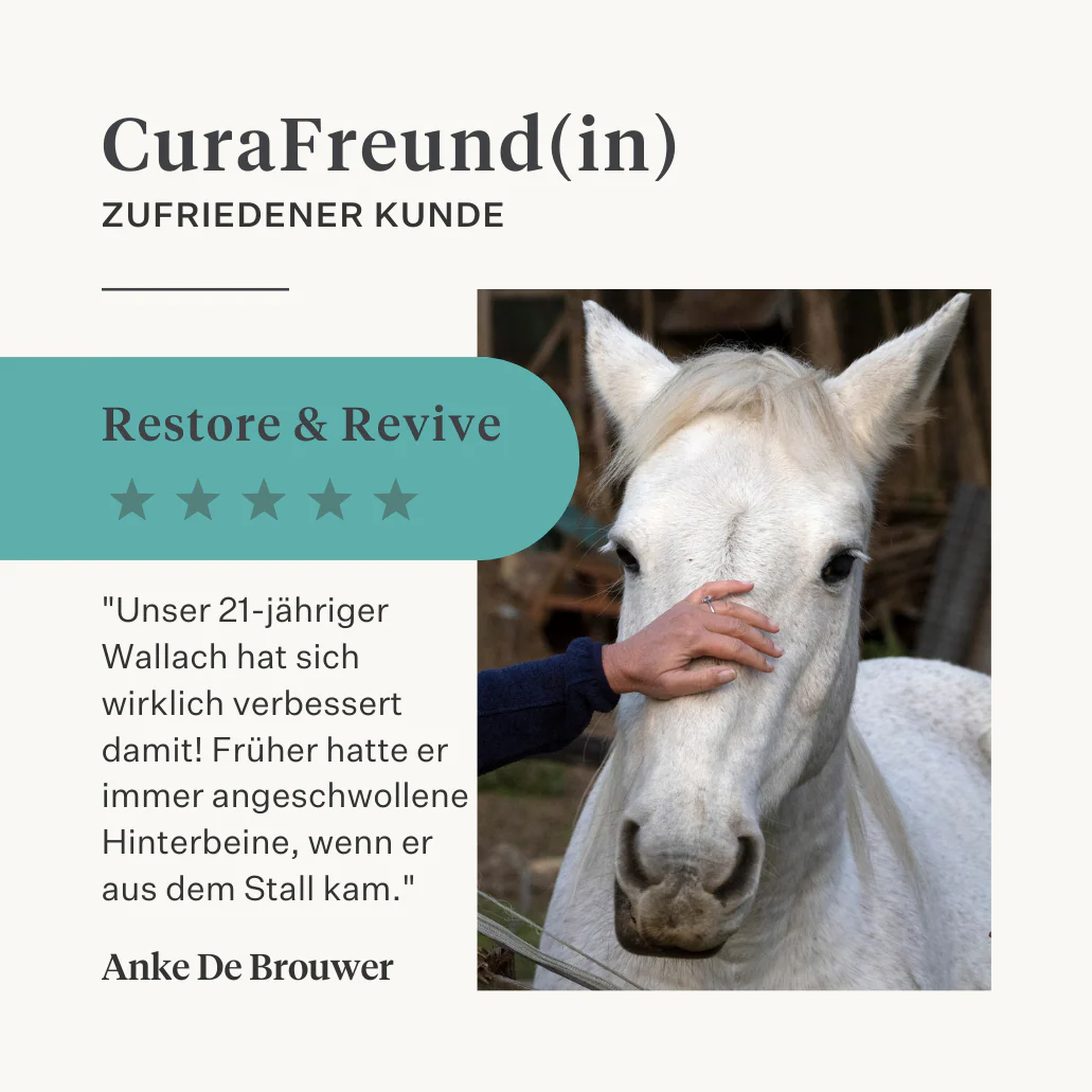 Restore & Revive | Curcumin Liquid Supplement - Image 32