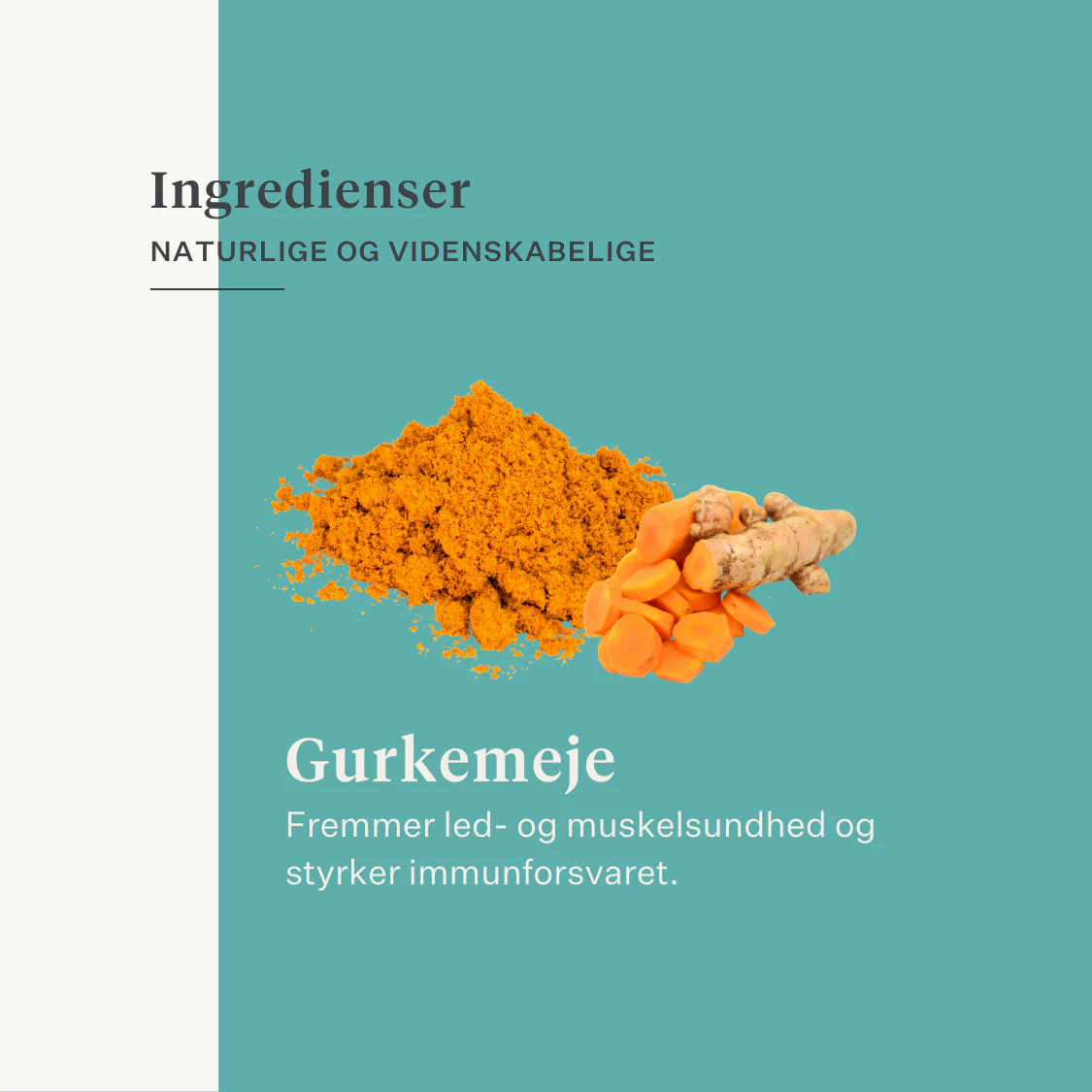 Restore & Revive | Curcumin Liquid Supplement - Image 36