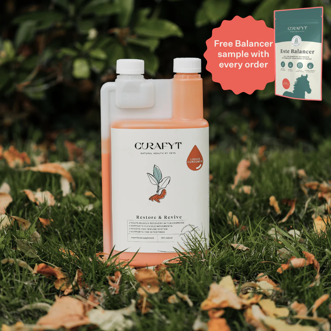 Restore & Revive | Curcumin Liquid Supplement - Image 43