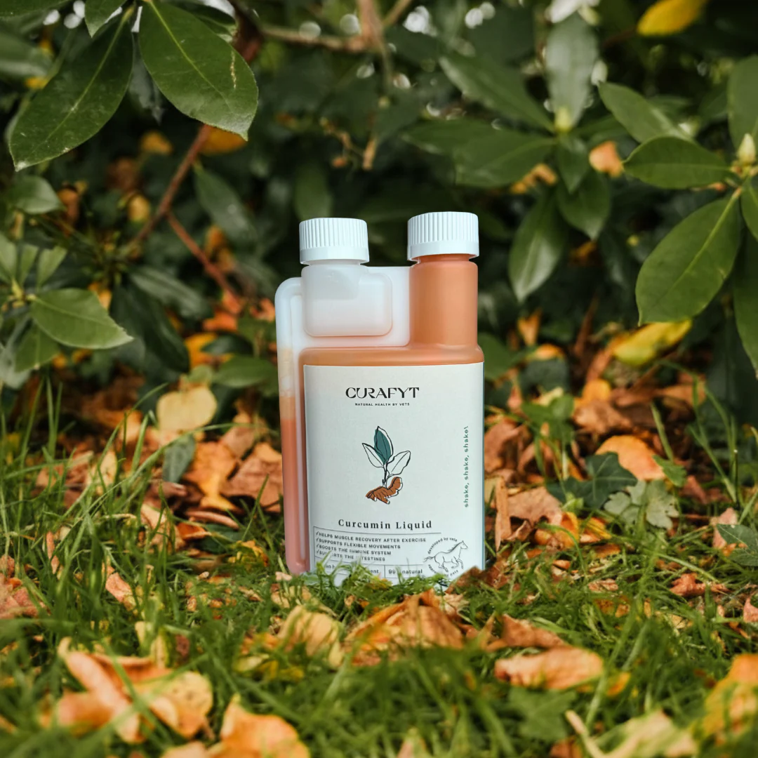Restore & Revive | Curcumin Liquid Supplement - Image 45