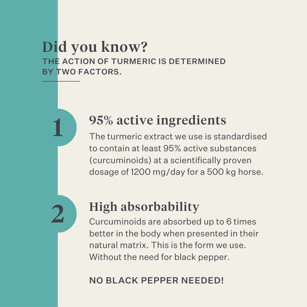 Restore & Revive | Curcumin Liquid Supplement - Image 5