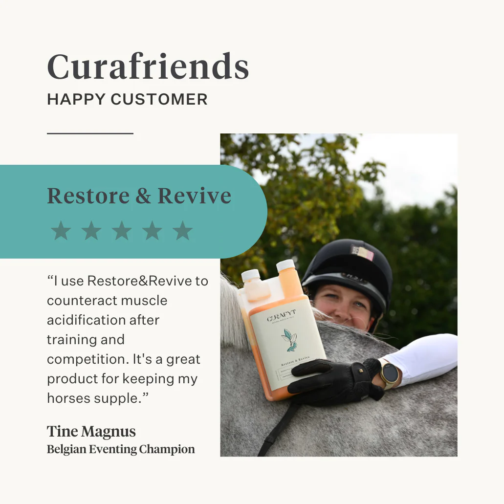Restore & Revive | Curcumin Liquid Supplement - Image 6