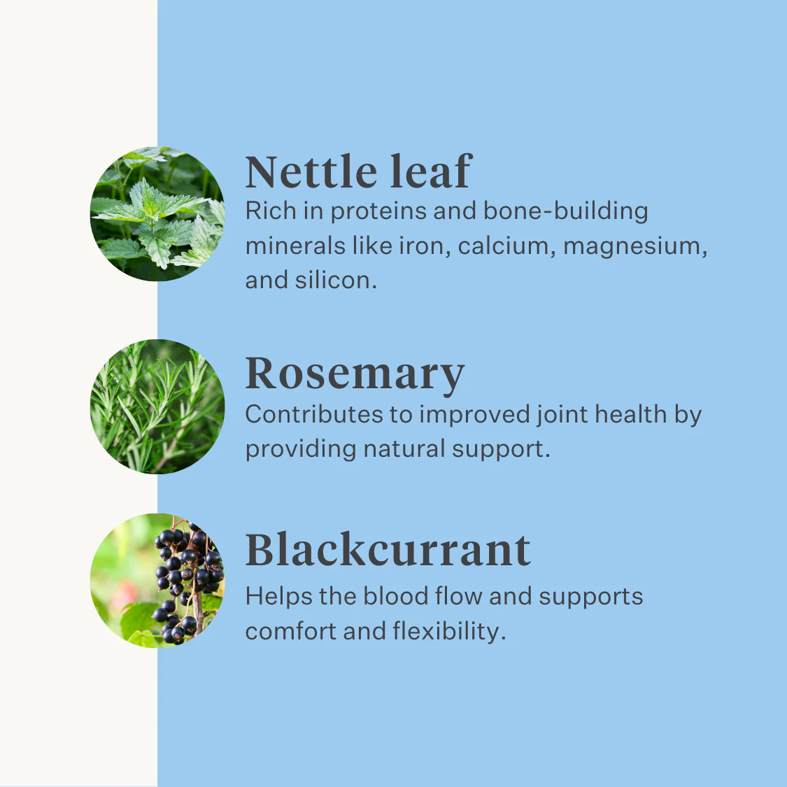 Smooth & Supple Supplement - Image 6