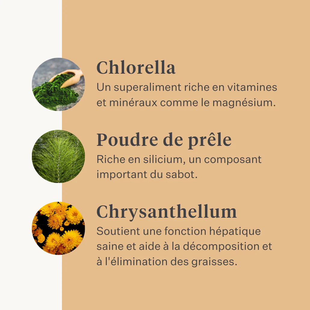 Steady & Stable Supplement - Image 22