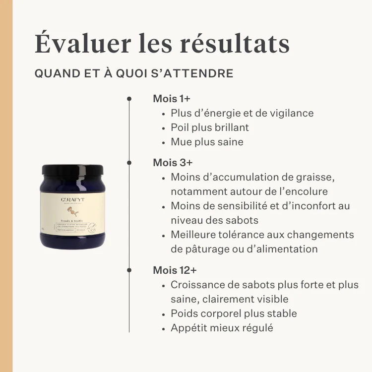 Steady & Stable Supplement - Image 25