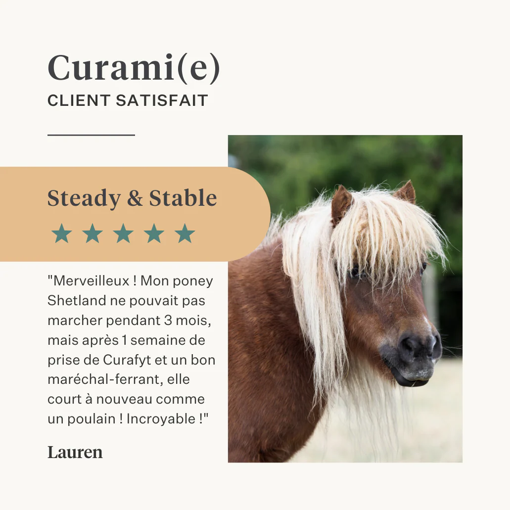 Steady & Stable Supplement - Image 26