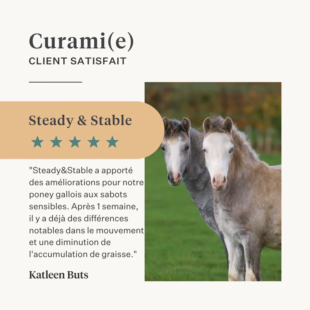 Steady & Stable Supplement - Image 27