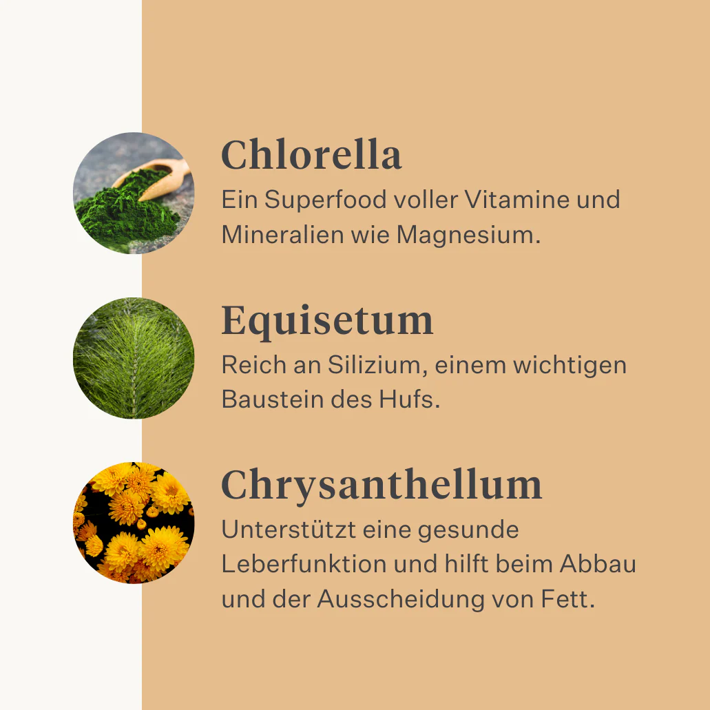 Steady & Stable Supplement - Image 31