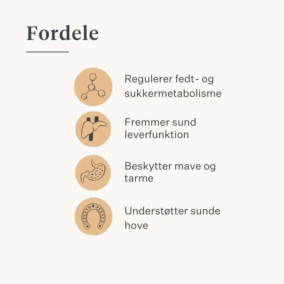 Steady & Stable Supplement - Image 38