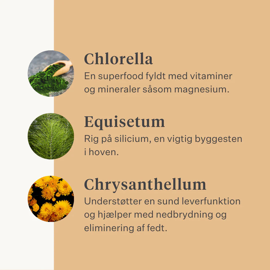 Steady & Stable Supplement - Image 41