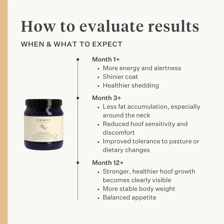 Steady & Stable Supplement - Image 7