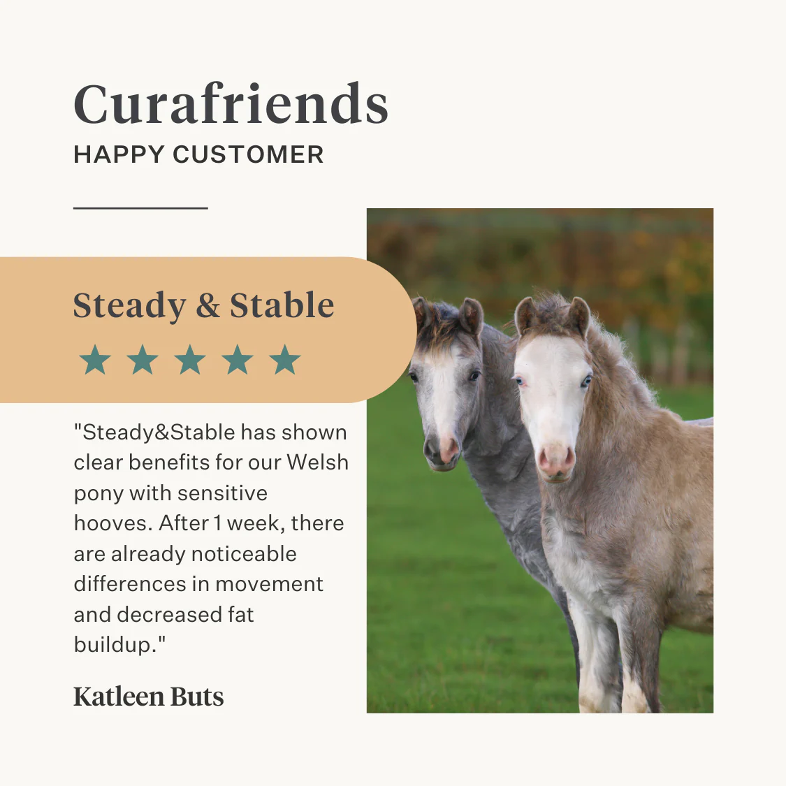 Steady & Stable Supplement - Image 9