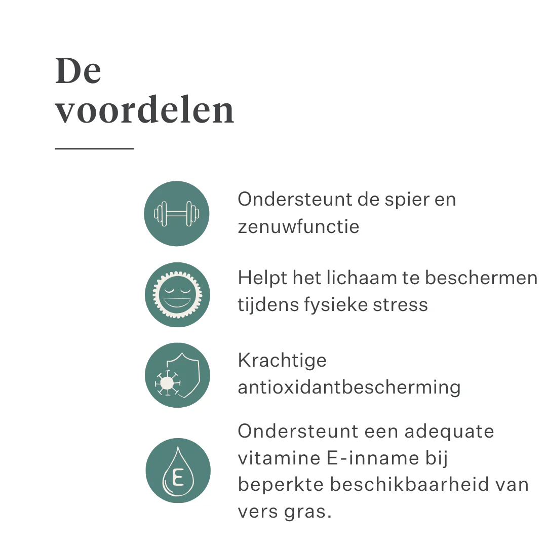 Vitamin E Liquid Supplement - Image 17