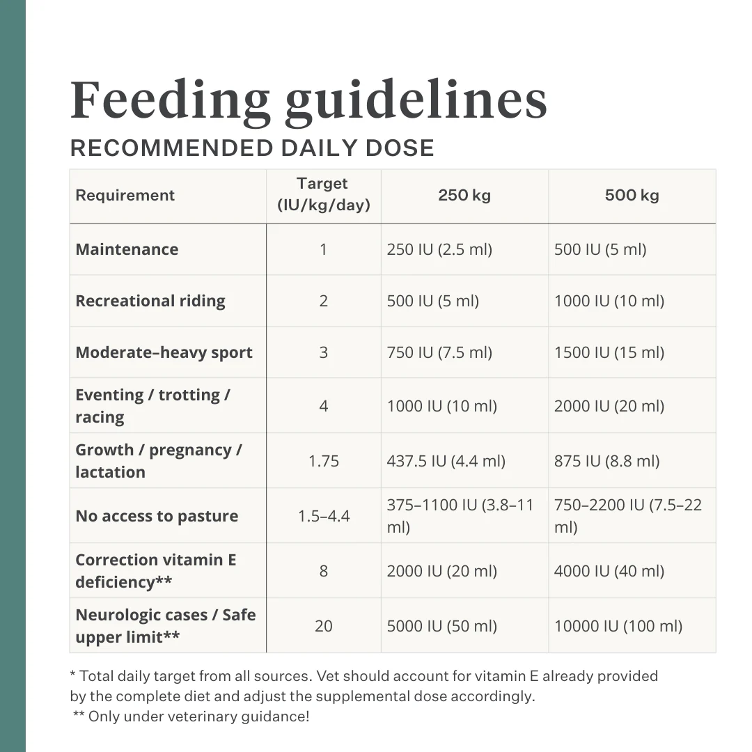 Vitamin E Liquid Supplement - Image 3